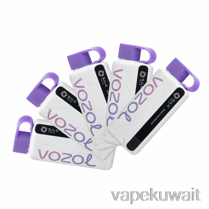 [5 عبوات] Vozol Star 9000 Vape القابل للتصرف في الكويت